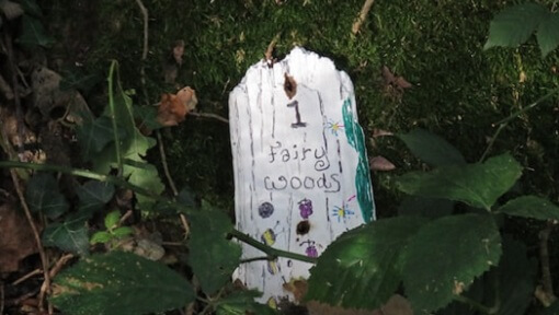 fairy woods chris-9i_p55xGt20-unsplash fairy woods chris 9i p55xGt20 unsplash
