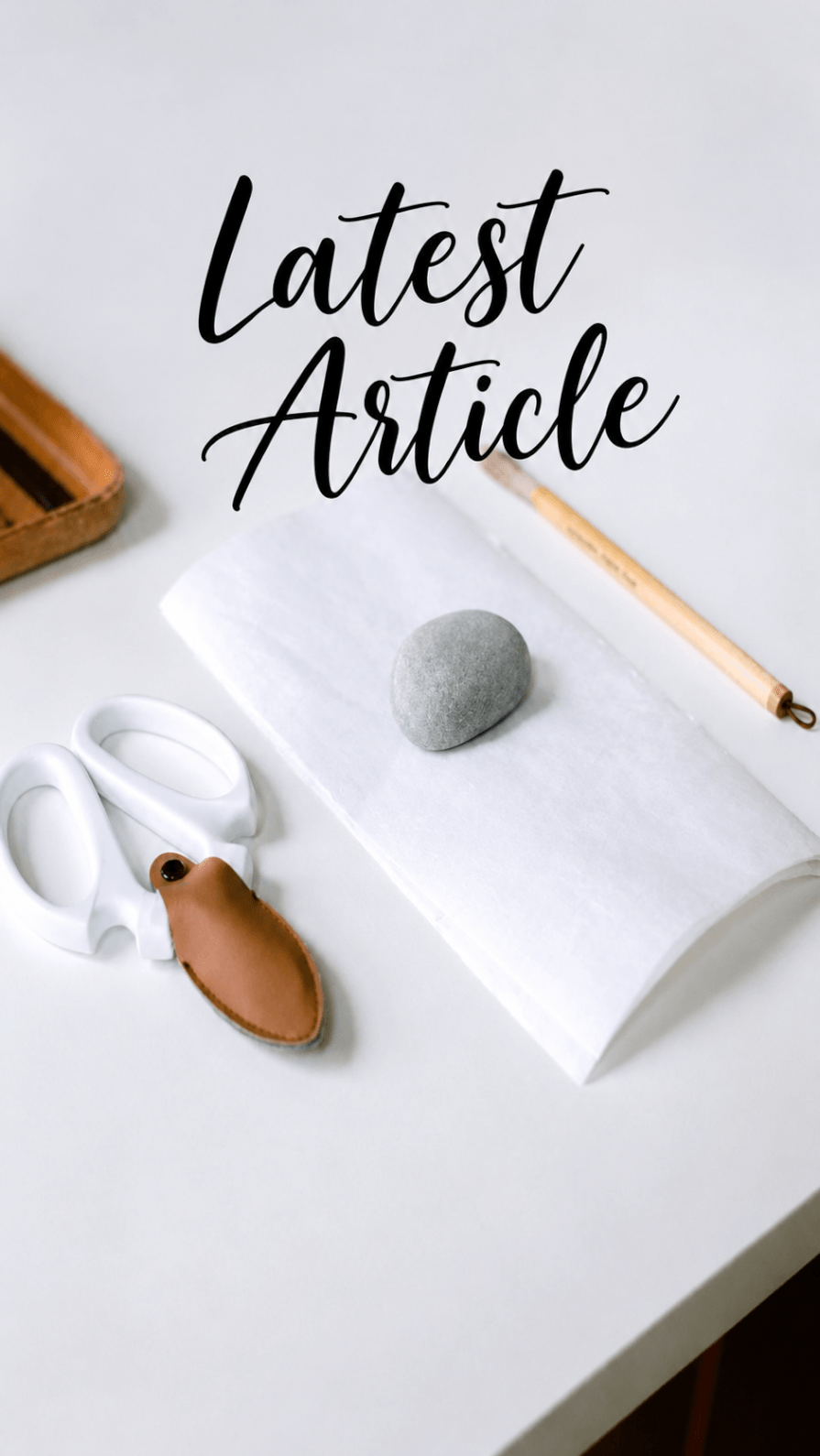 Latest Blog Article